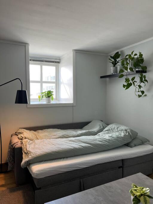 Cozy Ground Floor Apartment Tromsø Kültér fotó