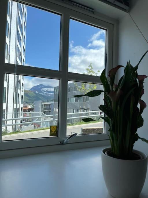 Cozy Ground Floor Apartment Tromsø Kültér fotó