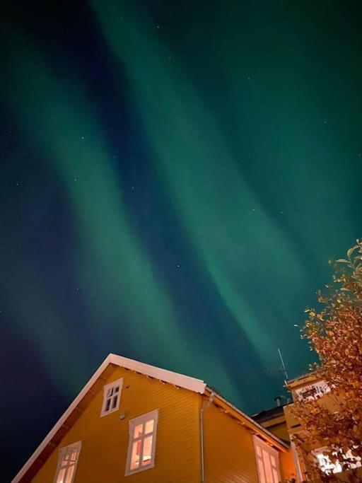 Cozy Ground Floor Apartment Tromsø Kültér fotó