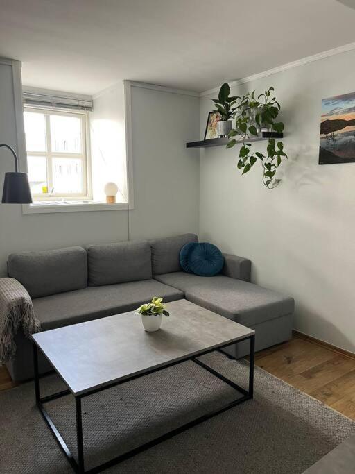 Cozy Ground Floor Apartment Tromsø Kültér fotó