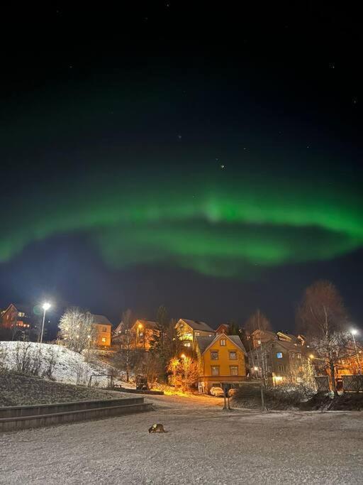 Cozy Ground Floor Apartment Tromsø Kültér fotó